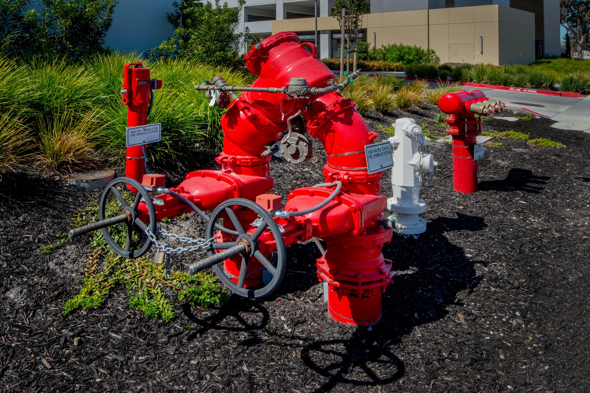 Backflow Preventer